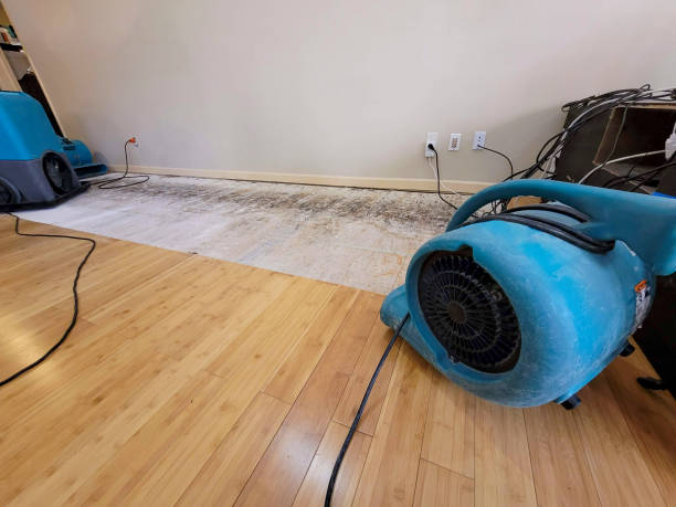 Professional Structural Drying technician working in Louisville, KY